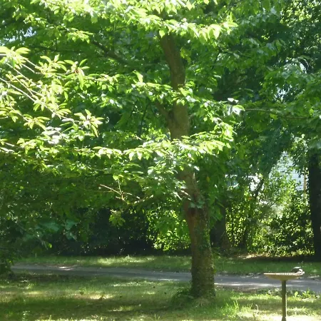 Domaine De La Bastille Bed & Breakfast Saint-Malo